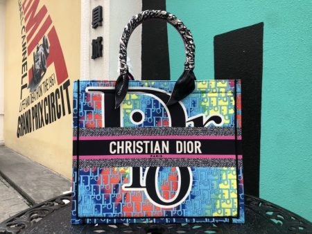 Luxury Handbags Christian Dior 234 Discount