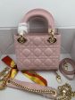 Luxury Handbags Christian Dior 262 Online Hot Sale