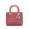 CHRISTIAN DIOR Dior Canage Lady Delight Handbag Shoulder Bag Pink Canvas Ladies Online now