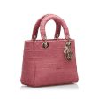 CHRISTIAN DIOR Dior Canage Lady Delight Handbag Shoulder Bag Pink Canvas Ladies Online now